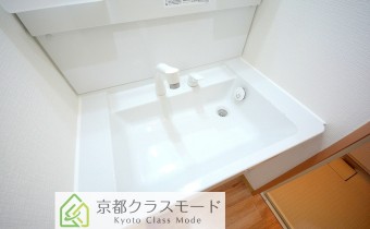 シャンプードレッサー