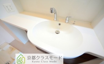 シャンプードレッサー