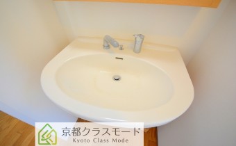 シャンプードレッサー