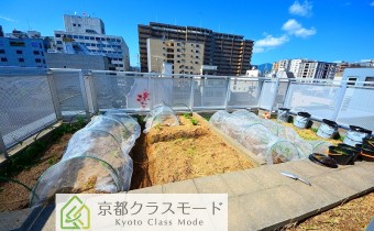 菜園スペース　※空きがあればお借りして頂けます