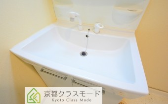 シャンプードレッサー