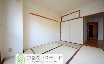 和6