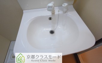 シャンプードレッサー