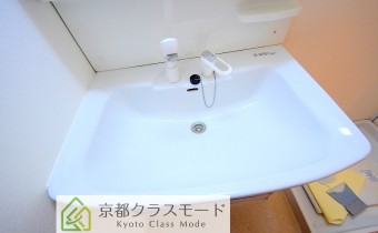 シャンプードレッサー