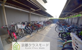 駐輪スペース
