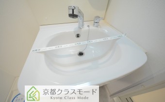 シャンプードレッサー