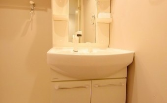 シャンプードレッサー