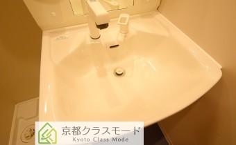 シャンプードレッサー
