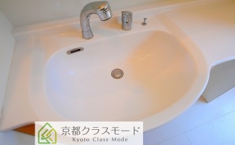 シャンプードレッサー