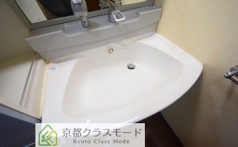 シャンプードレッサー