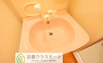 シャンプードレッサー