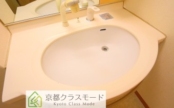 シャンプードレッサー