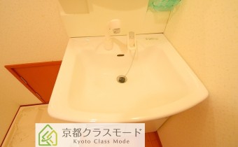 シャンプードレッサー