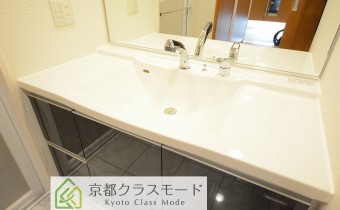 シャンプードレッサー