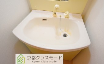 シャンプードレッサー