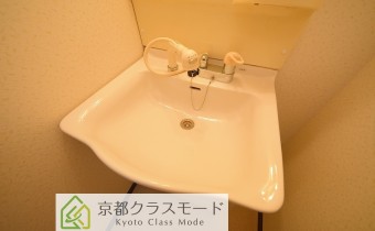 シャンプードレッサー