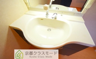 シャンプードレッサー