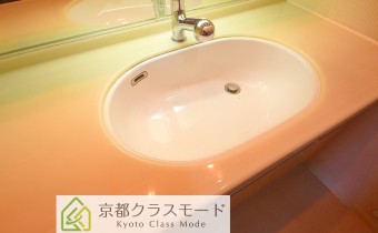 シャンプードレッサー
