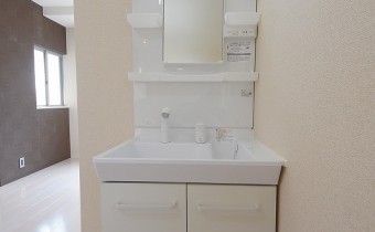 シャンプードレッサー