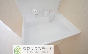 シャンプードレッサー
