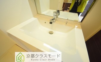 シャンプードレッサー
