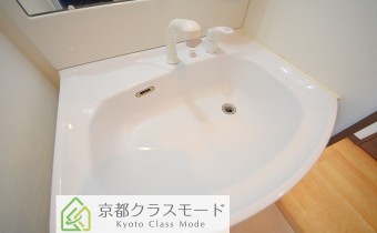 シャンプードレッサー