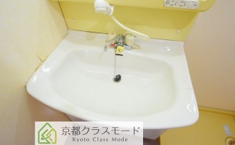 シャンプードレッサー