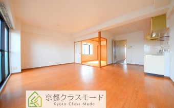 LDK16.5帖