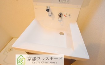 シャンプードレッサー