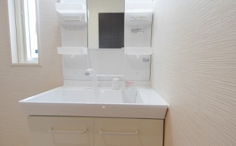 シャンプードレッサー