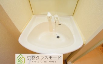 シャンプードレッサー