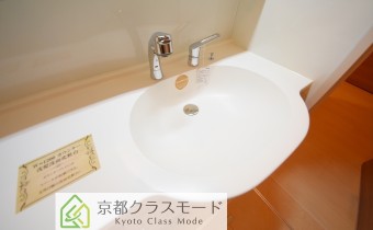 シャンプードレッサー