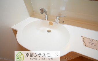 シャンプードレッサー