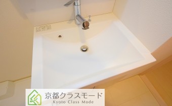 シャンプードレッサー