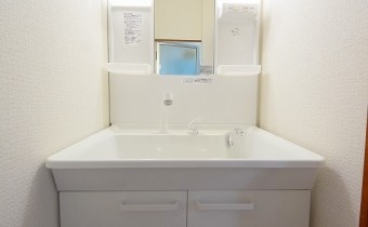 シャンプードレッサー