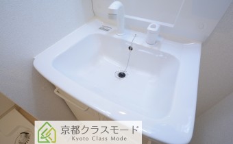 シャンプードレッサー