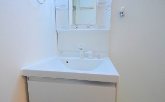シャンプードレッサー　