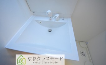 シャンプードレッサー　
