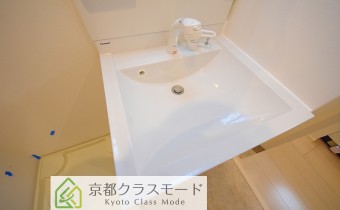 シャンプードレッサー