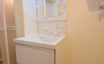 シャンプードレッサー