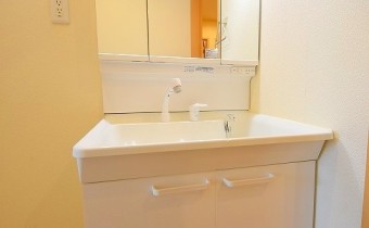 シャンプードレッサー