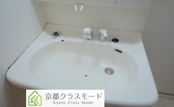 シャンプードレッサー