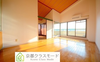 LDK10.5帖