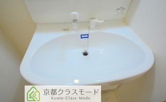 シャンプードレッサー