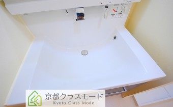 シャンプードレッサー