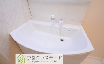 シャンプードレッサー