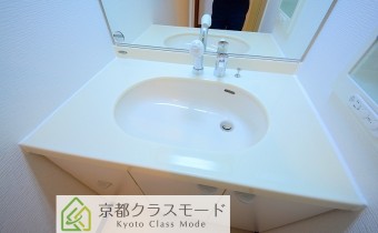シャンプードレッサー
