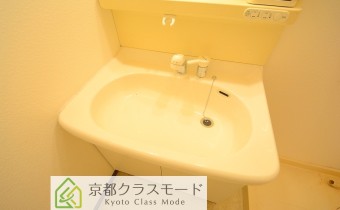 シャンプードレッサー