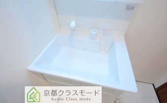 シャンプードレッサー