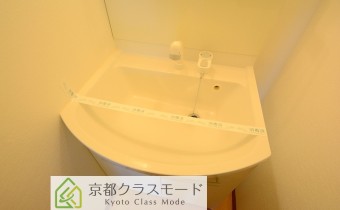 シャンプードレッサー